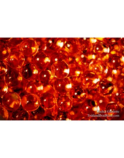 Rachel's Day 89 of 366 - March 29, 2020