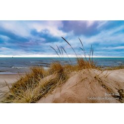 Brad Reed\'s Day 90 of 366