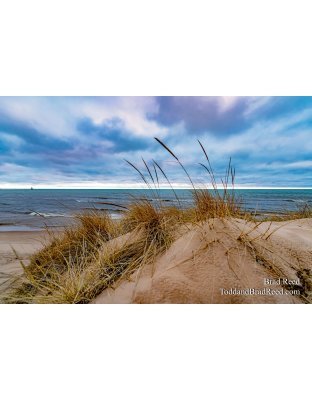 Brad Reed's Day 90 of 366