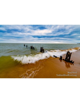 Brad Reed's Day 91 of 366