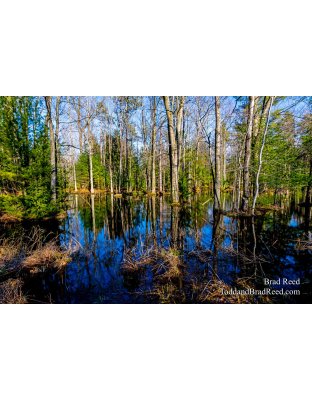 Brad Reed's Day 92 of 366