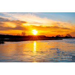 Brad Reed\'s Day 93 of 366
