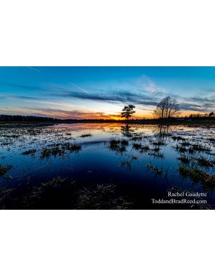 Rachel's Day 93 of 366 - April 2, 2020