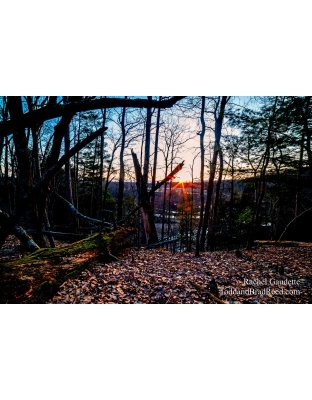 Rachel's Day 94 of 366 - April 3, 2020