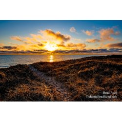 Brad Reed\'s Day 95 of 366