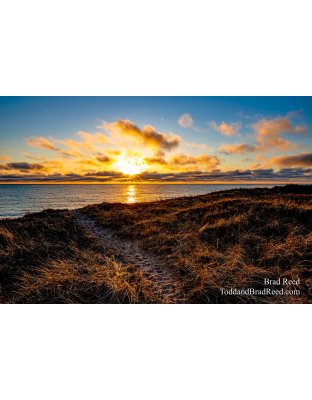 Brad Reed's Day 95 of 366