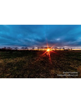 Rachel's Day 95 of 366 - April 4, 2020