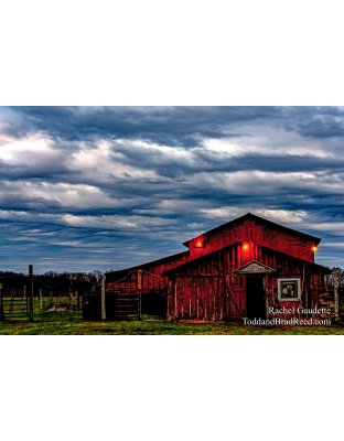 Rachel's Day 97 of 366 - April 6, 2020