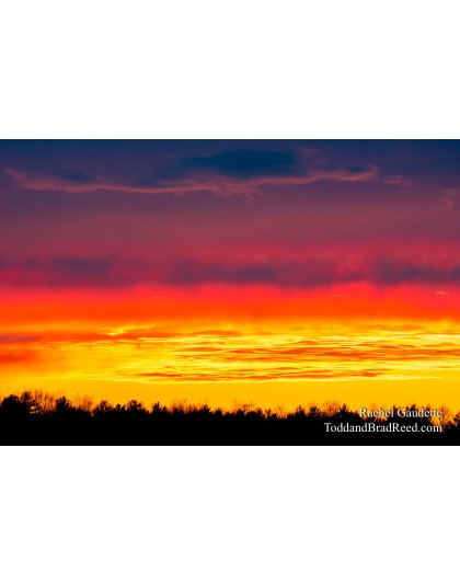 Rachel's Day 99 of 366 - April 8, 2020