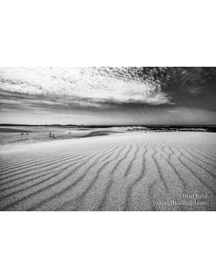 Brad Reed's Day 102 of 366