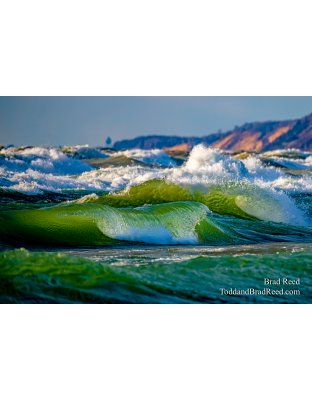 Brad Reed's Day 104 of 366