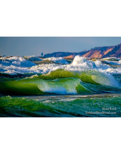 Brad Reed's Day 104 of 366