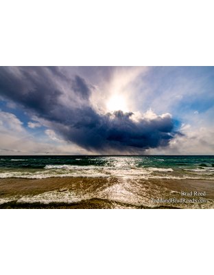 Brad Reed's Day 105 of 366