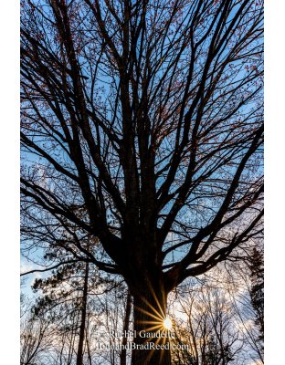 Rachel's Day 105 of 366 - April 14, 2020