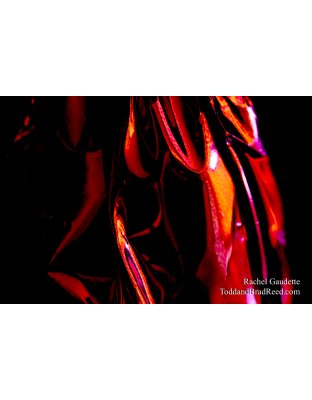 Rachel's Day 106 of 366 - April 15, 2020