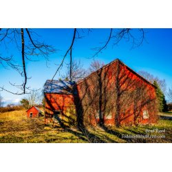 Brad Reed\'s Day 107 of 366