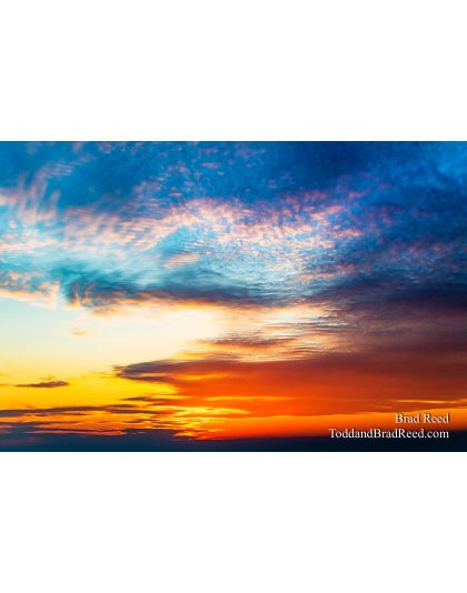 Brad Reed's Day 109 of 366