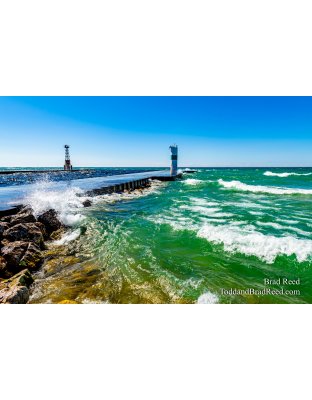 Brad Reed's Day 110 of 366