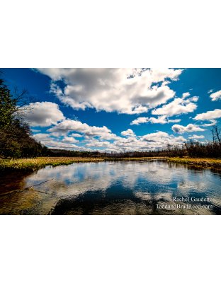 Rachel's Day 110 of 366 - April 19, 2020