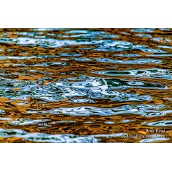 Brad Reed\'s Day 111 of 366