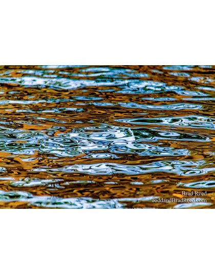 Brad Reed's Day 111 of 366