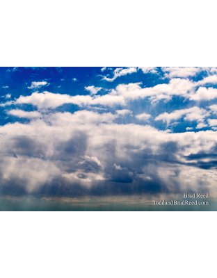 Brad Reed's Day 112 of 366