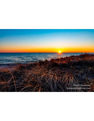 Rachel's Day 112 of 366 - April 21, 2020