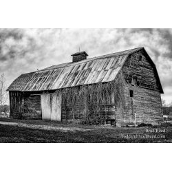 Brad Reed\'s Day 116 of 366