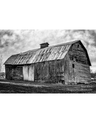 Brad Reed's Day 116 of 366