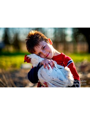 Rachel's Day 117 of 366 - April 26, 2020