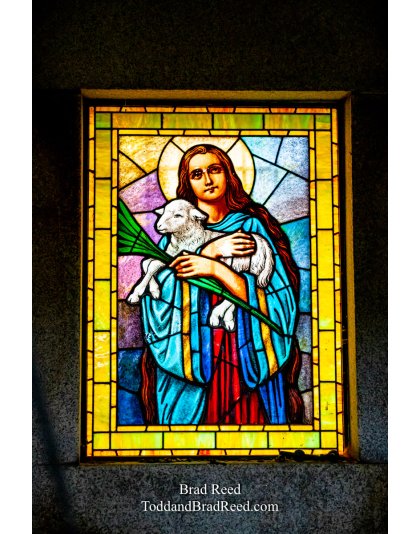 Brad Reed's Day 118 of 366