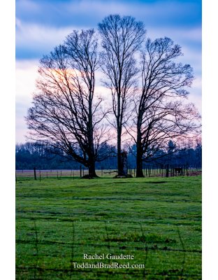 Rachel's Day 118 of 366  - April 27, 2020