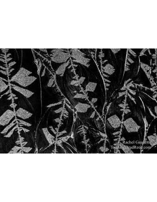 Rachel's Day 120 of 366 - April 29, 2020