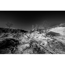 Brad Reed\'s Day 121 of 366