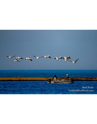 Brad Reed's Day 122 of 366