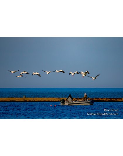 Brad Reed's Day 122 of 366