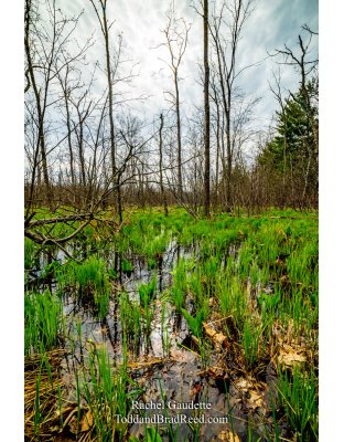 Rachel's Day 122 of 366 - May 1, 2020