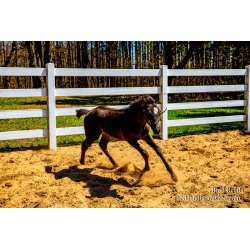 Brad Reed\'s Day 124 of 366