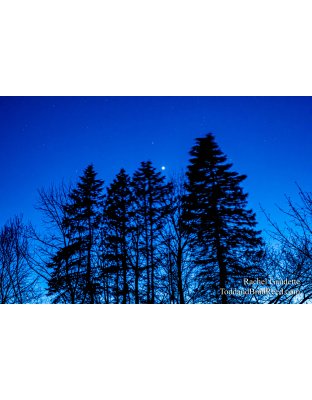 Rachel's Day 124 of 366 - May 3, 2020