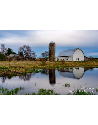 Rachel's Day 126 of 366 - May 5, 2020