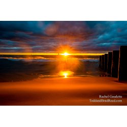 Hopeful Rays