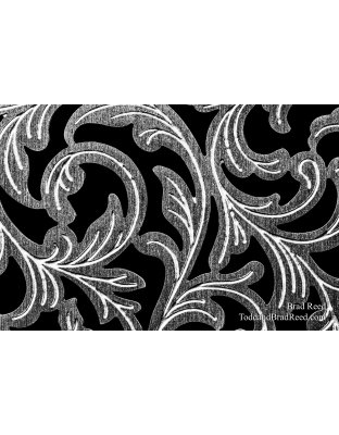 Brad Reed's Day 162 of 366 - June 10, 2020