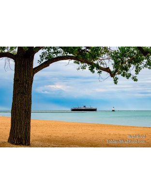 Brad Reed's Day 164 of 366 - June 12, 2020