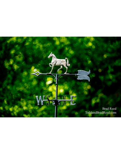 Brad Reed's Day 166 of 366 - June 14, 2020