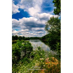 Brad Reed\'s Day 169 of 366 - June 17, 2020