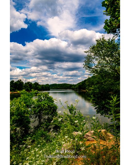 Brad Reed's Day 169 of 366 - June 17, 2020