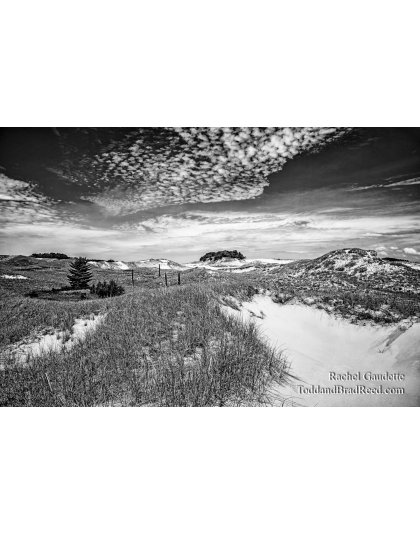 Rachel Gaudette's Day 172 of 366 - June 20, 2020