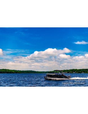 Brad Reed's Day 173 of 366 - June 21, 2020