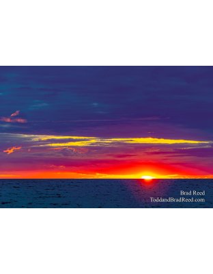 Brad Reed's Day 175 of 366 - June 23, 2020