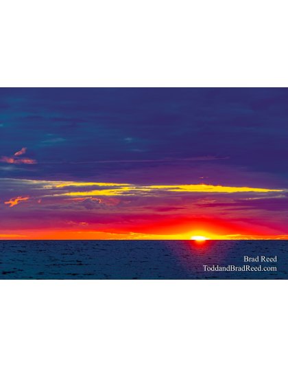 Brad Reed's Day 175 of 366 - June 23, 2020